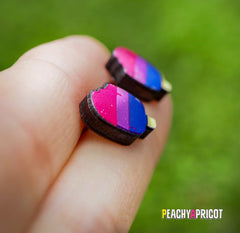 Bi Pride Earrings