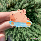 Capybara Pin