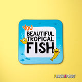 Beautiful Tropical Fish